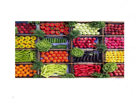 نخستین نمایشگاه اگروفود در گیلان برگزار می‌شود