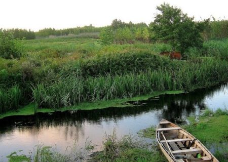رفع تصرف از اراضی تالاب بین المللی انزلی