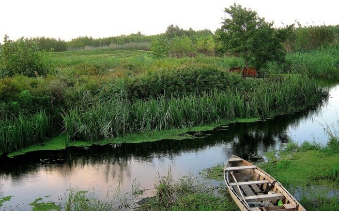 رفع تصرف از اراضی تالاب بین المللی انزلی