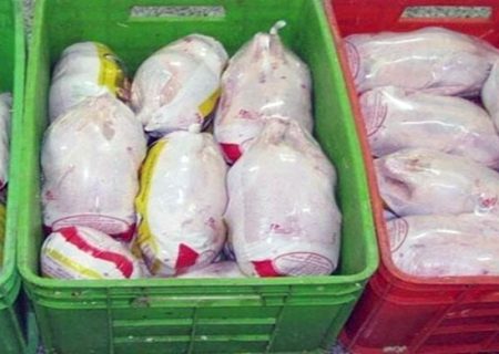 عرضه مرغ A و A پلاس در گیلان ممنوع شد