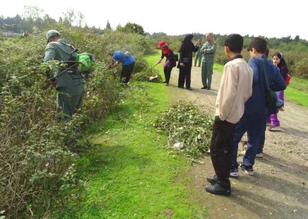پاک‌سازی گیاه مهاجم آروجیا در پارک ملی بوجاق