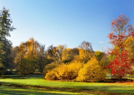 تداوم پایداری هوای گیلان تا فردا