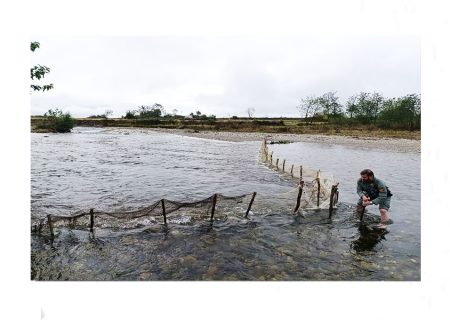 جمع‌آوری سد غیرمجاز ماهیگیری در رودخانه ناورود تالش