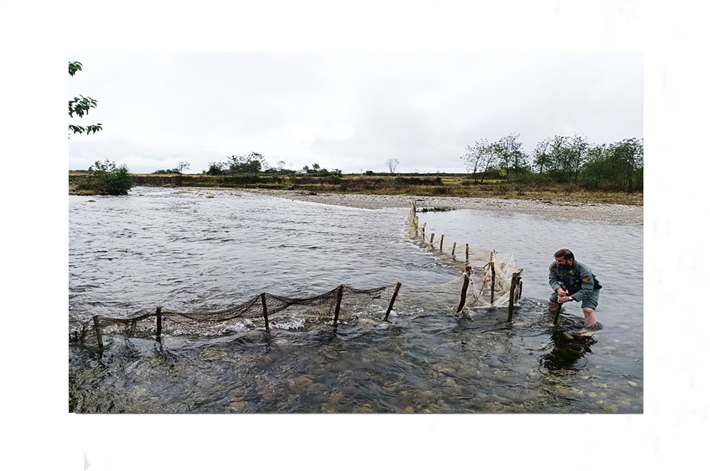جمع‌آوری سد غیرمجاز ماهیگیری در رودخانه ناورود تالش
