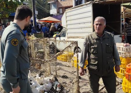 چتر حفاظت ‌محیط‌زیست بر فرار بازار محلی املش؛ پایانی بر زنده فروشی پرندگان وحشی