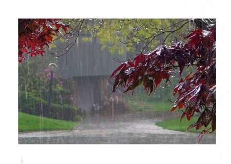 باران در راه است