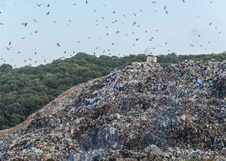 سایت دفن زباله در قلب «جنگل‌های هیرکانی»، یک تهدید جدی است